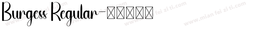 Burgess Regular字体转换